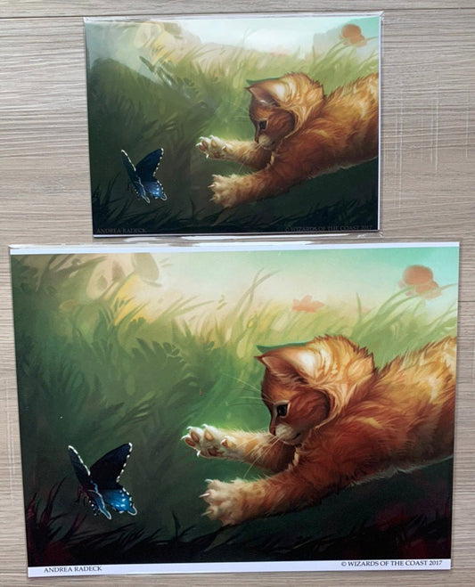 Half Kitten Print