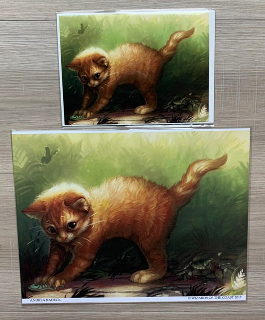 Adorable Kitten Print