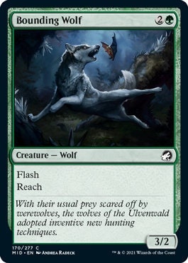 Bounding Wolf MTG Artist Proof